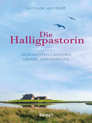 cover image of Die Halligpastorin